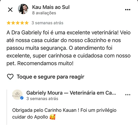 Avaliação de Kau no Google