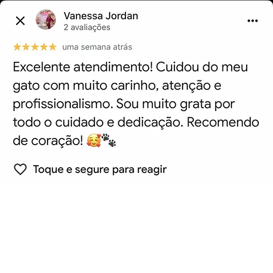 Avaliação de Vanessa no Google