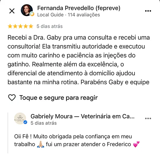 Avaliação de Fernanda no Google