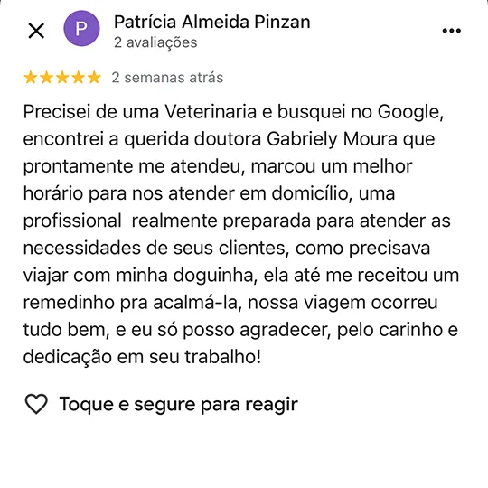 Avaliação de Patricia no Google