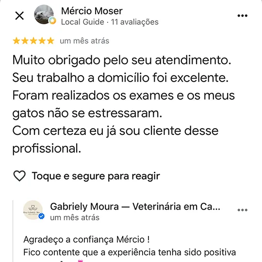 Avaliação de Moser no Google